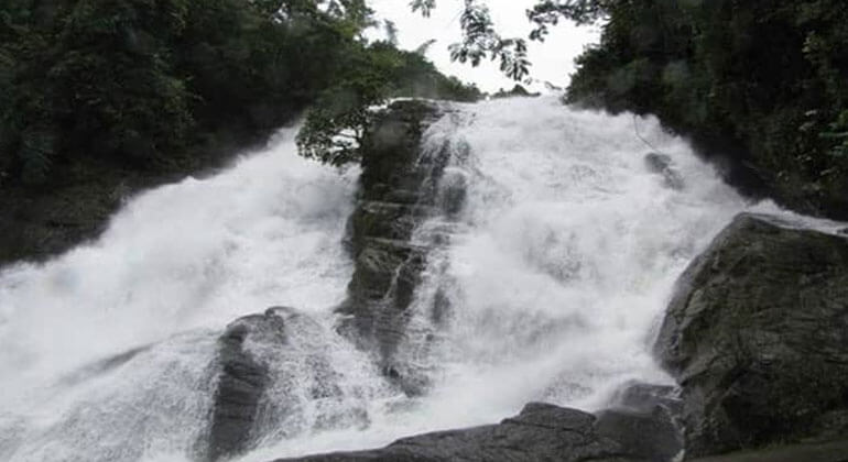 Athirappilly Resorts