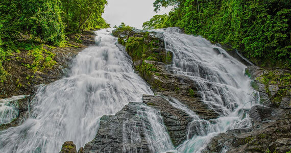 Resort Near Athirappilly Waterfalls